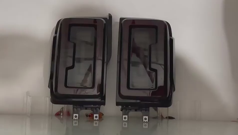 TANK 300 NEON LED TAIL LIGHTS 2021-2023 Demo Video